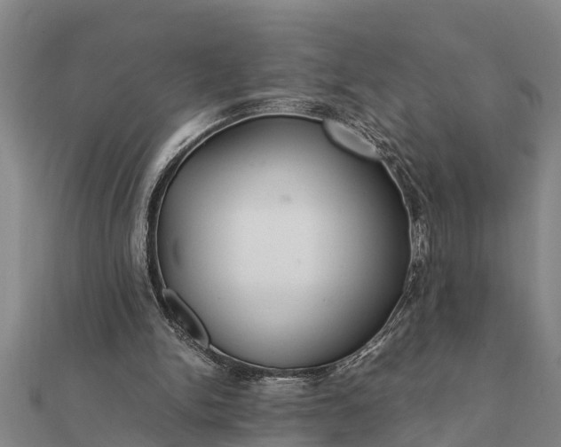 X0000112110150200908181355