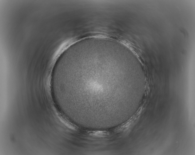 X0000112110151200908181355