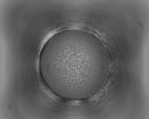 X0000112110152200908181355