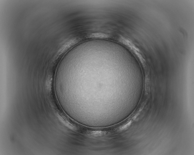 X0000112110153200908181355