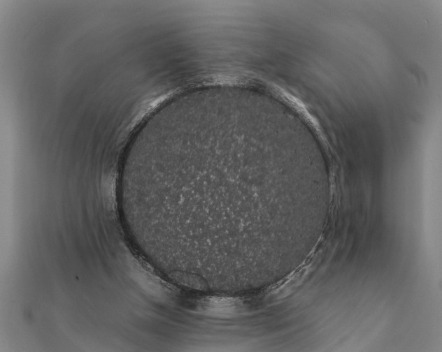 X0000112110154200908181355