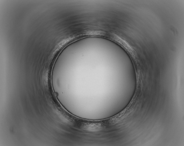 X0000112110155200908181355