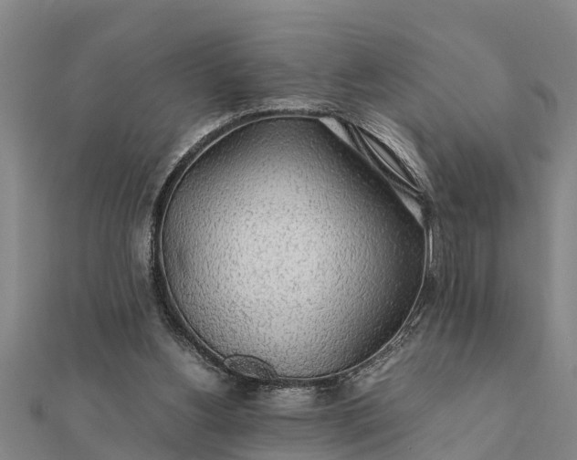 X0000112110156200908181355