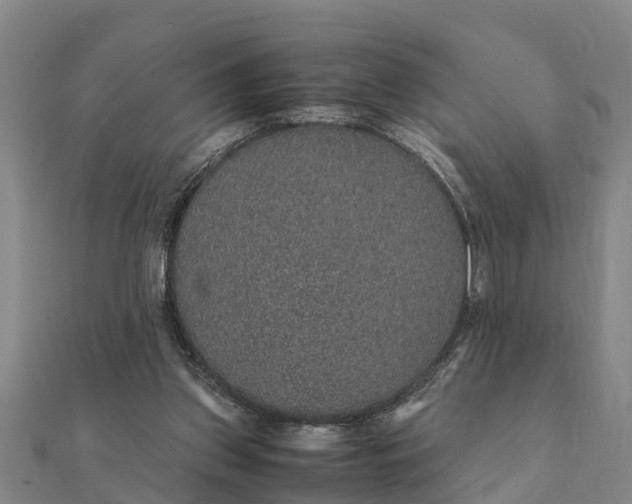 X0000112110157200908181355