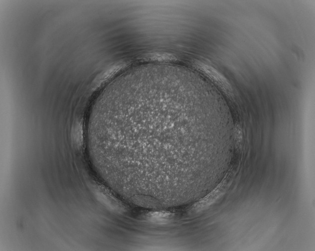 X0000112110158200908181355