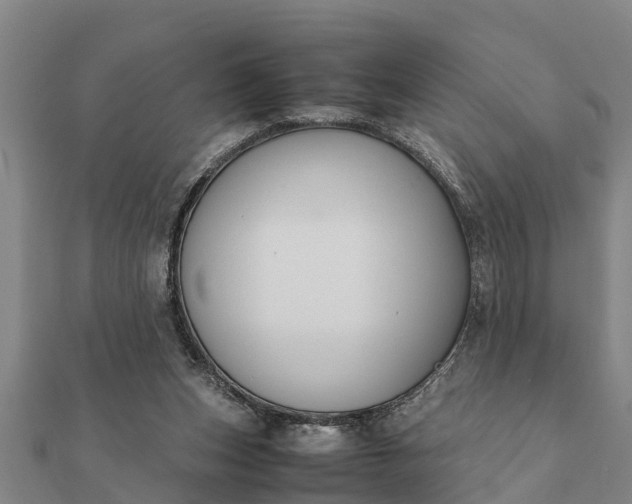 X0000112110159200908181355