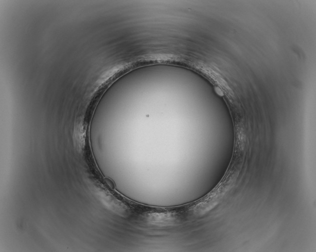 X0000112110160200908181355