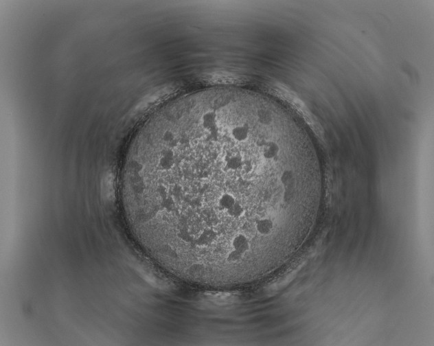 X0000112110161200908181355