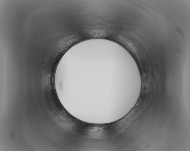 X0000112110162200908181355