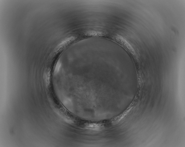 X0000112110163200908181355