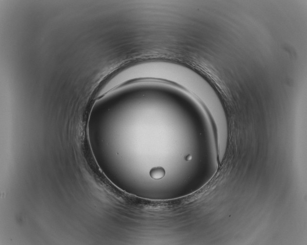 X0000112110164200908181355