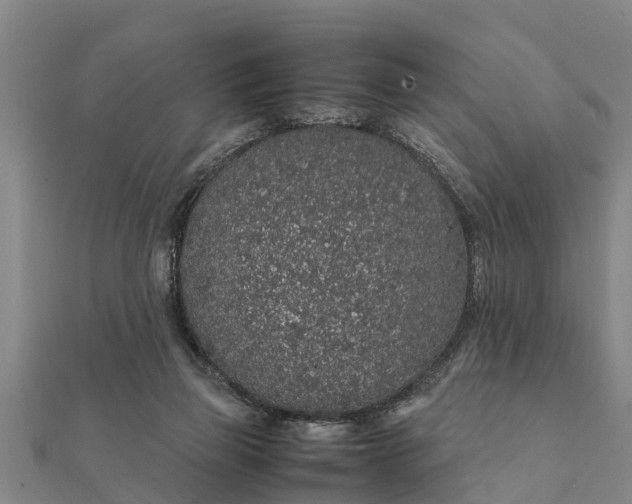 X0000112110165200908181355