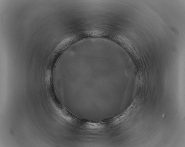 X0000112110167200908181355