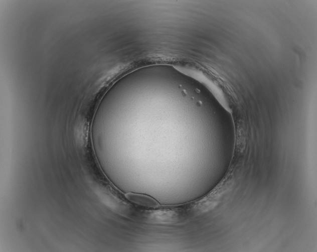 X0000112110168200908181355