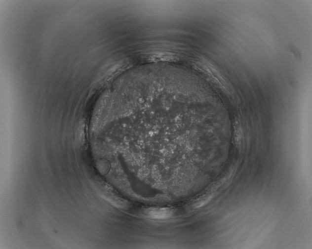 X0000112110169200908181355