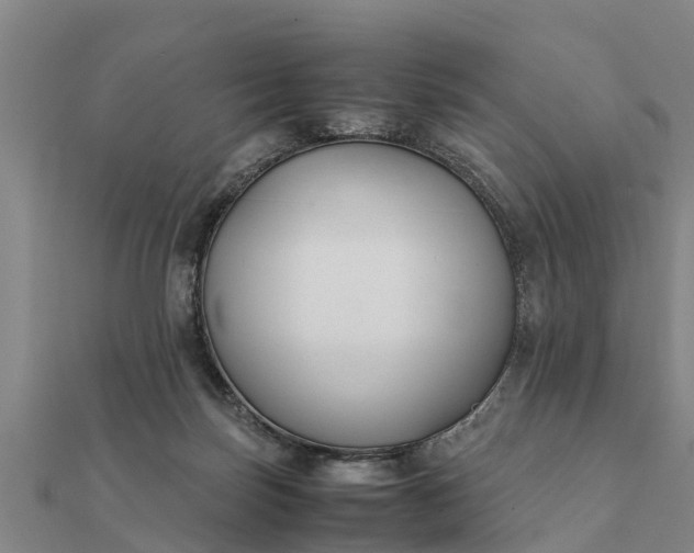 X0000112110171200908181355