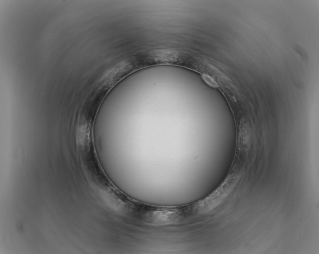 X0000112110172200908181355