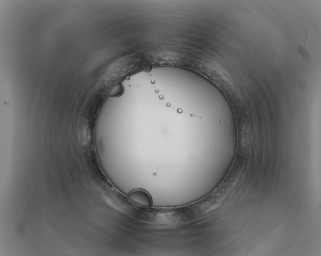 X0000112110173200908181355