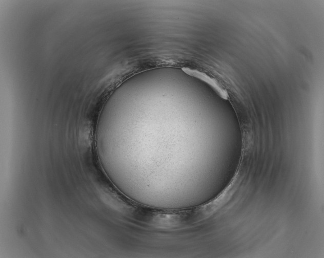 X0000112110174200908181355