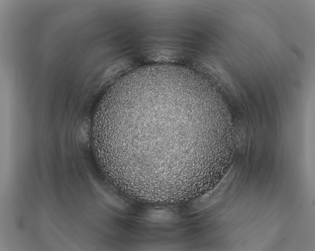 X0000112110175200908181355