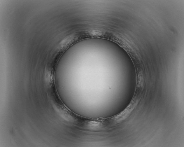 X0000112110176200908181355