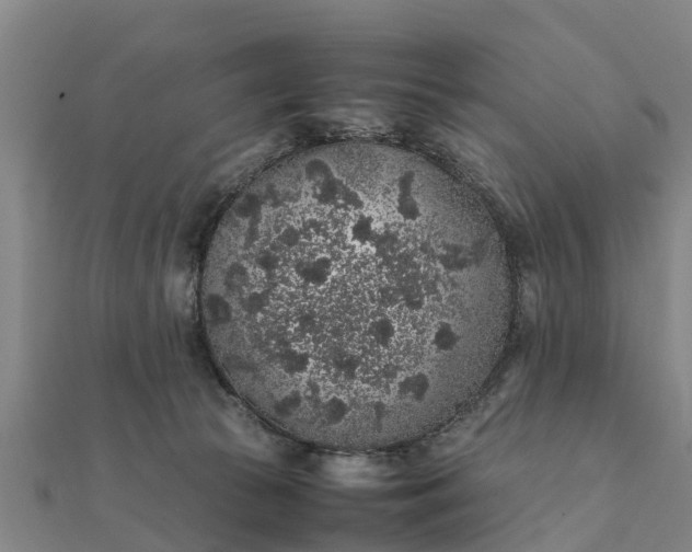 X0000112110177200908181355