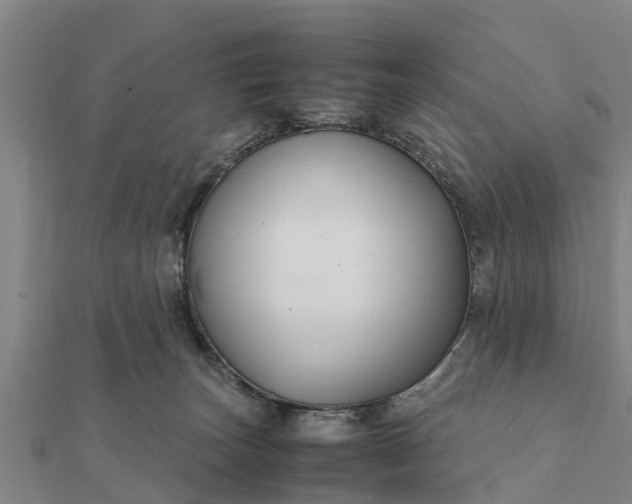 X0000112110179200908181355