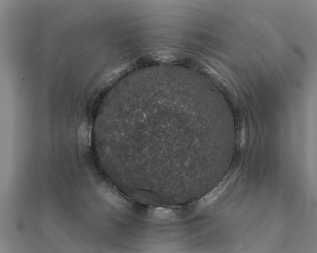 X0000112110180200908181355