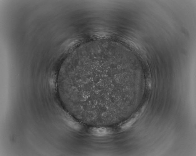 X0000112110181200908181355