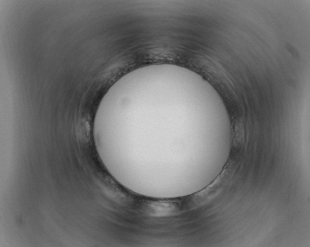 X0000112110183200908181355