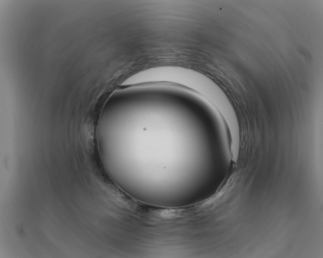 X0000112110184200908181355