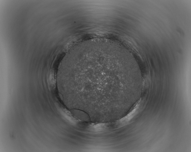 X0000112110186200908181355