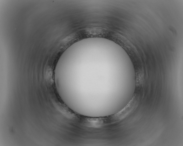 X0000112110187200908181355