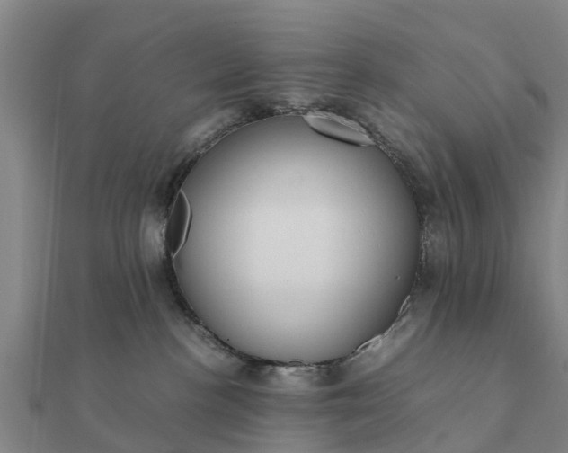 X0000112110188200908181355