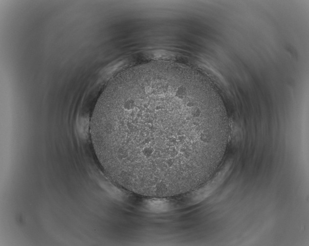 X0000112110189200908181355