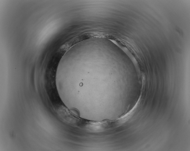 X0000112110190200908181355