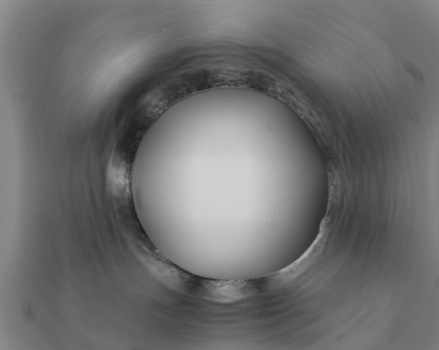 X0000112110191200908181356