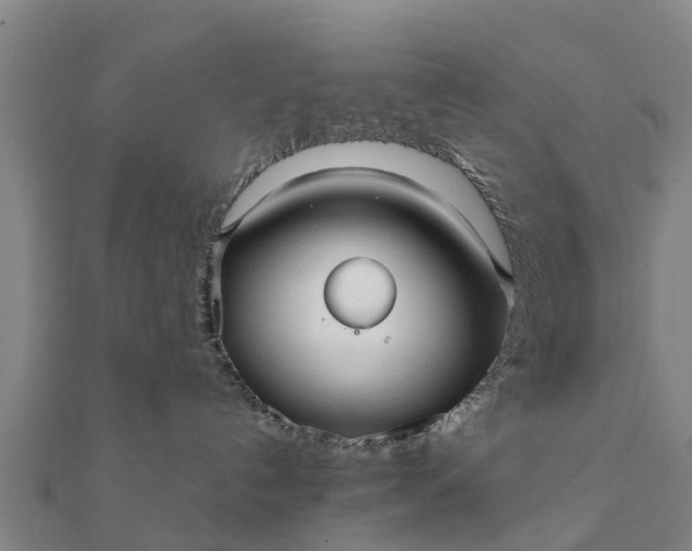 X0000112110192200908181356