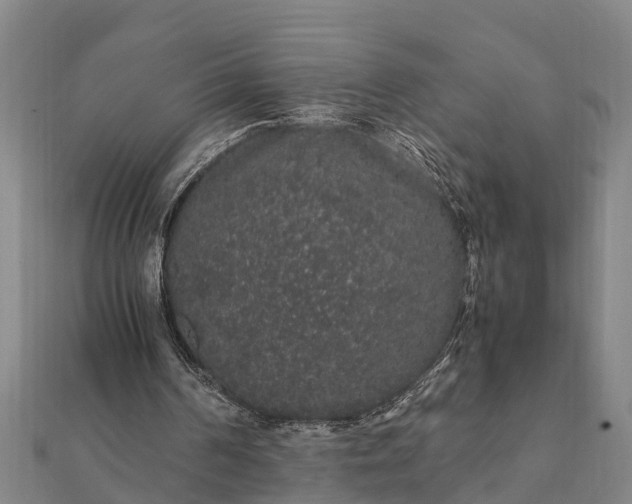 X0000112110194200908181355