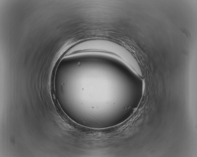 X0000112110195200908181355