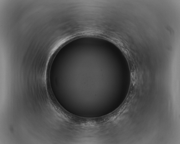 X0000112110196200908181355