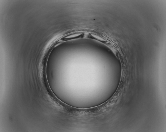 X0000112110197200908181355