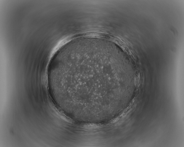 X0000112110198200908181355