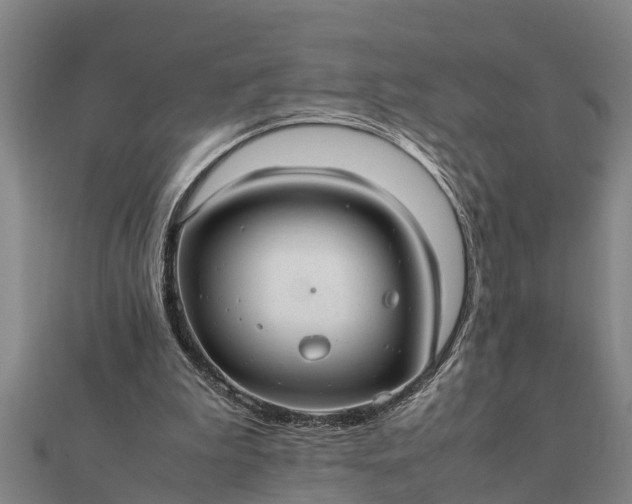 X0000112110199200908181355