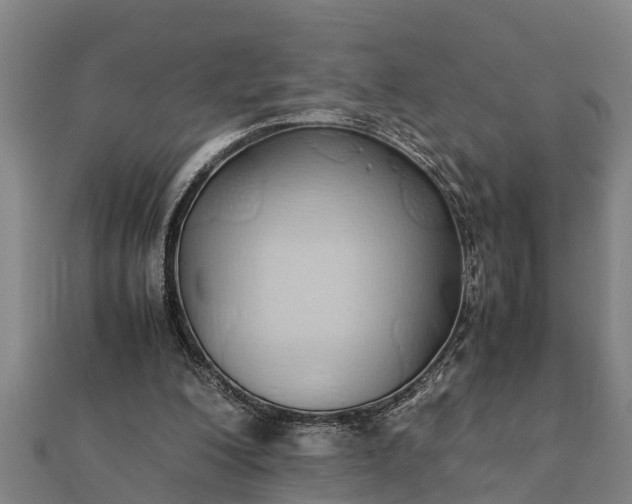 X0000112110200200908181355