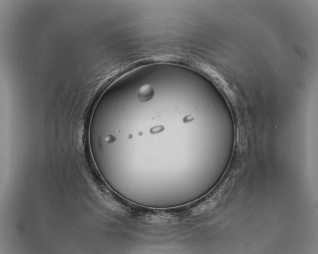 X0000112110201200908181355