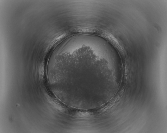 X0000112110202200908181355