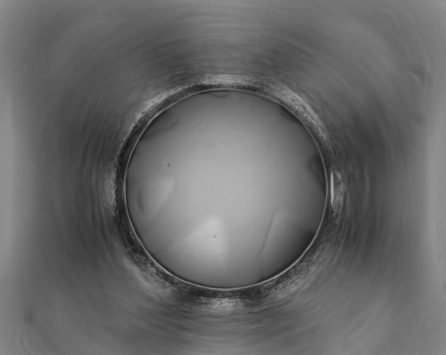 X0000112110204200908181355