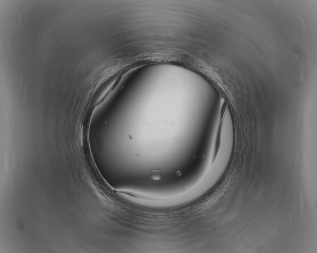 X0000112110205200908181355