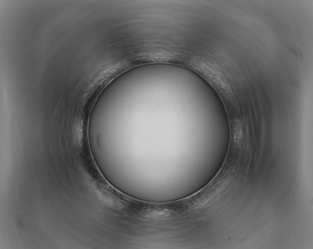 X0000112110206200908181355